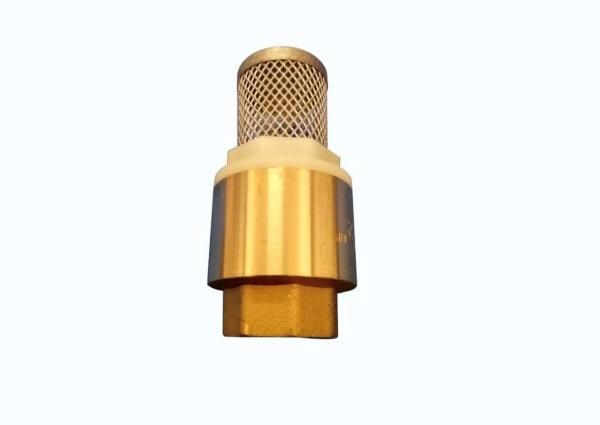 Quality Plumbing Stainless Steel Vertical Check Valves Filter Screen For Water for sale
