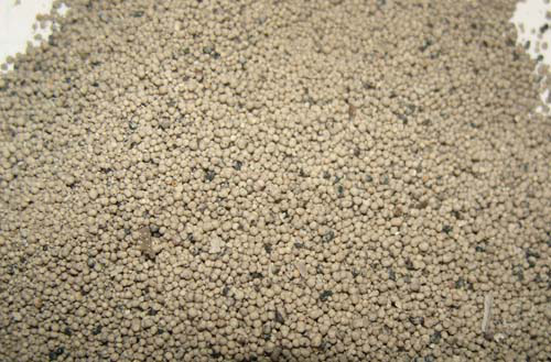 Cassava Extrusion Spheronization Powder Granulator Machine With High Performance