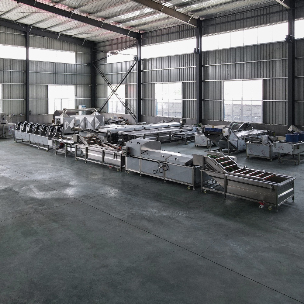 Complete Vegetable Fruit Washing Line for Streamlined Operations