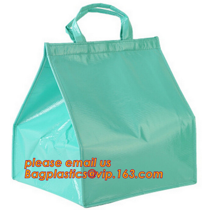 Customized logo printing insulated food delivery cooler bag,wholesale waterproof food delivery thermal bags bagplastics