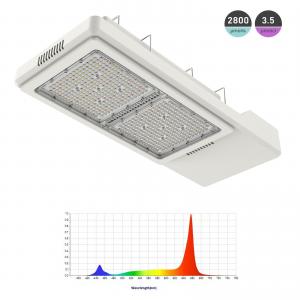 IP66 Greenhouse Supplemental LED Grow Light Fits Seamlessly In Existing HPS Layouts