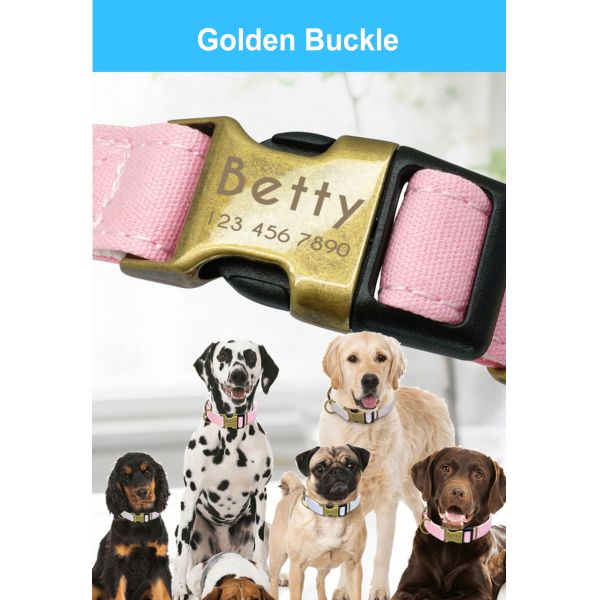 No Minimum Order Personalized Pet Collars Beautiful Pattern Sport Dog Collar