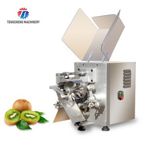 220V 35KG Recyclable Piercing Pitting Commercial Fruit Peeling Machine Apple