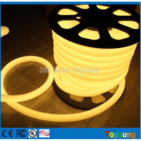 100' spool 24 Volt blue 360 degree round led neon light for pool