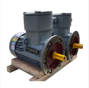 Industry Application Asynchronous Three Phase Flame Proof Electric Motor