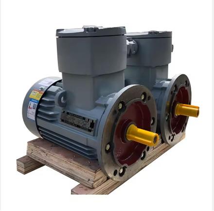 Quality Industry Application Asynchronous Three Phase Flame Proof Electric Motor for sale