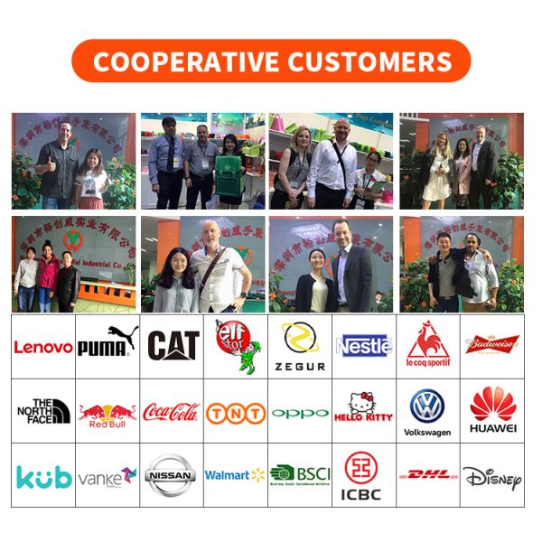 Leakproof Cooler Tote Soft Insulated Lunch Bag For Adults Women 25 Liter