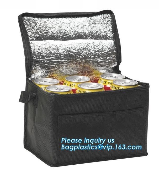 Customized logo printing insulated food delivery cooler bag,wholesale waterproof food delivery thermal bags bagplastics