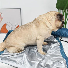 Automatic Dog Drying Bags plastic Pet Drying Bag Blue Blow Quick