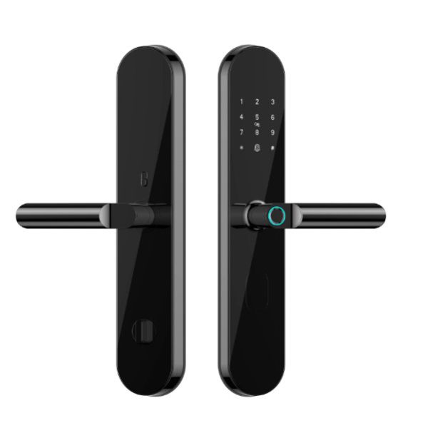 Wifi Network Smart Fingerprint Door Lock For Apartment