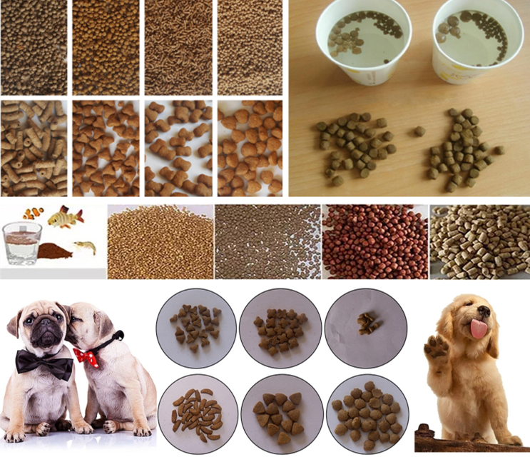 1 Ton Floating Fish Feed Pellet Machine , Pet Food Extrusion Equipment