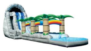China Inflatable Water Slide, hippo slide , inflatable giant palm slide wholesale