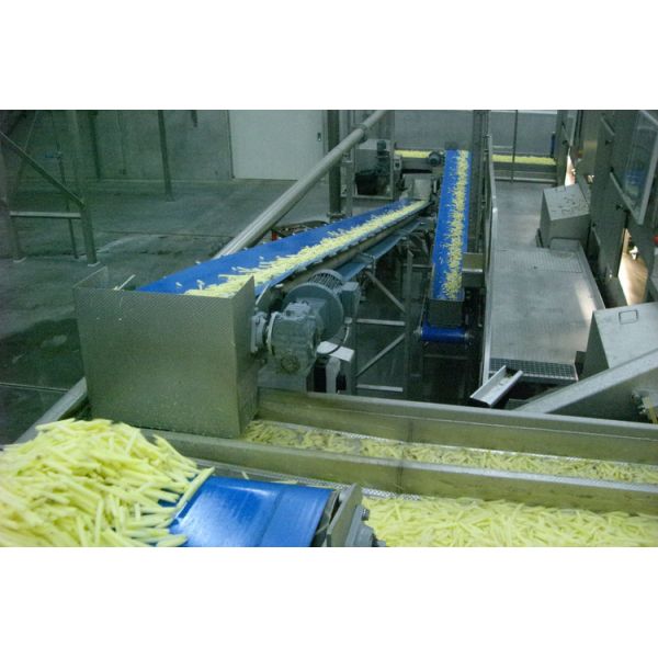 Small Potato Chips Making Machine Semi - Automatic Frozen French Fries Equipment