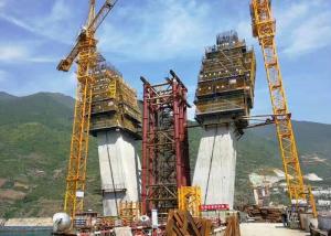 Safety Outstanding Slip Acs Formwork System , Climbing Formwork System Easy Use