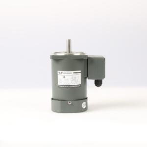 China 50 60Hz Single Phase Asynchronous Motor 22Nm on sale
