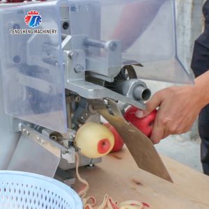 220V 35KG Recyclable Piercing Pitting Commercial Fruit Peeling Machine Apple