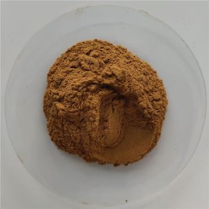 China Gmp Certificate Powder Witch Hazel Extract With Best Price wholesale