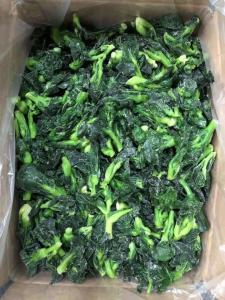 Green Color Iqf Fruits And Vegetables Frozen Rapinis With Different Sizes