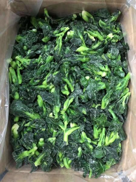 Quality Green Color Iqf Fruits And Vegetables Frozen Rapinis With Different Sizes for sale