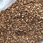 American FPGA Data Processing Software Seeds Color Sorter Intelligent CCD Color