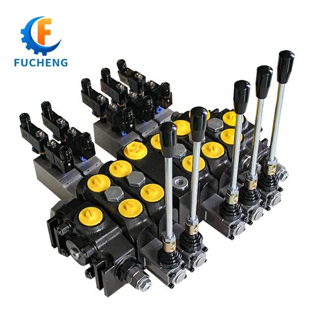Fucheng DCV100/2-S 100LPM Flow Hydraulic Directional Control Valve for Customer's Request