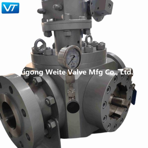 Quality DEVLON Seat Pigging Ball Valve Top Entry Easy Open And Close Port Cover for sale