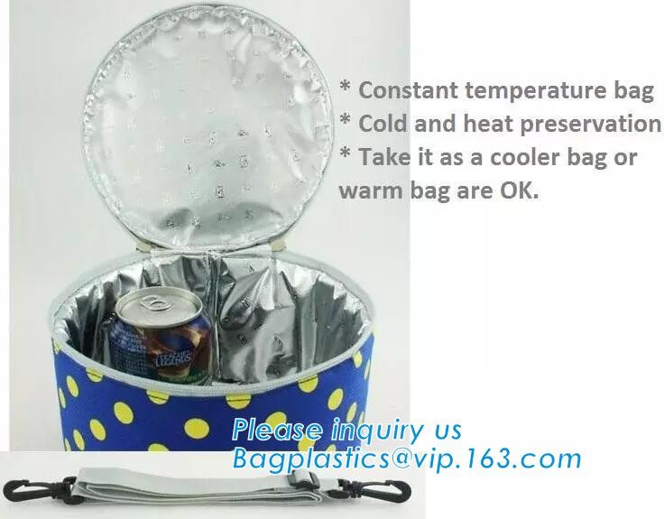 Customized logo printing insulated food delivery cooler bag,wholesale waterproof food delivery thermal bags bagplastics
