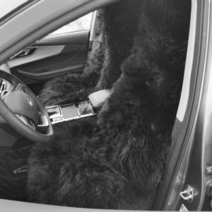 China Black Sheepskin Car Seat Cushion Bucket Seat Pad Custom Fit wholesale