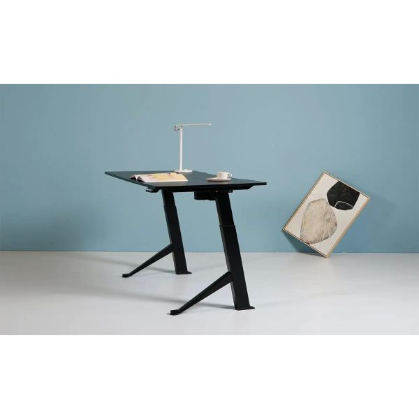 2 Hall Linear Actuators Remote Control System 24V 25A Wirless Remont Control W/ Wired Switch