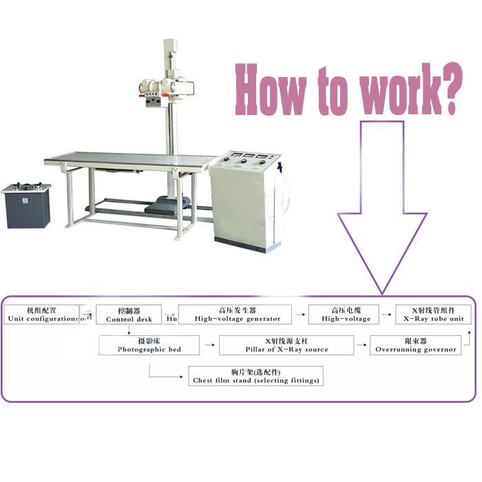 Digital x ray machine with good prices