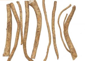 China Peeled Natural Food Seasoning Fresh Horseradish Lateral Root Without Additives wholesale