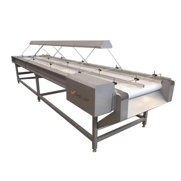 Quality 220v/ 380v Stainless Steel 304 Nut Selecting Conveyor Belt for Raisin Sorting Machine for sale