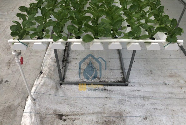 Greenhouse Hydroponic Vertical NFT Hydroponic System Soilless Vegetable Planting Troughs