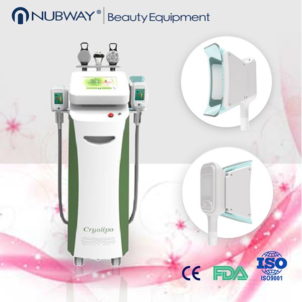 Most professional 3 technology best result body slimming face lifting Cryolipolysis machine
