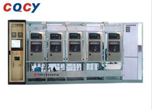 WS3000 Sewage Continuous Monitoring System