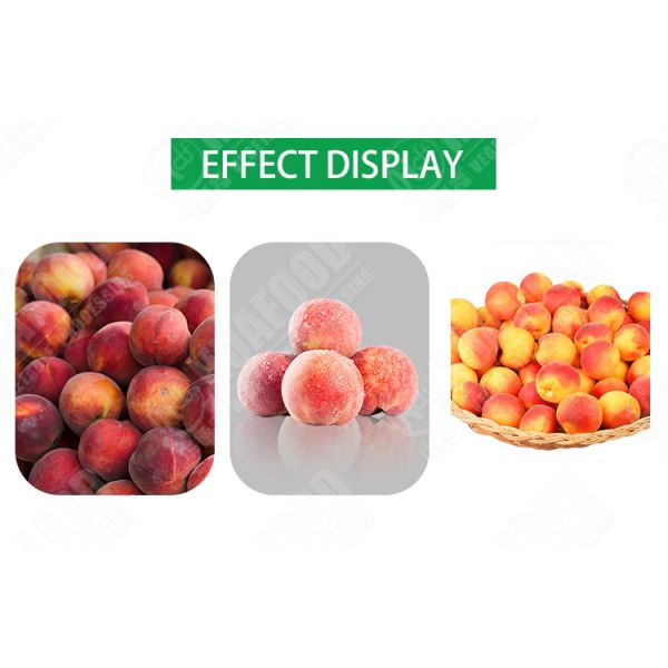 Hot selling Cleaning Machine Shrimp Shrimp Washing Machine by Huafood