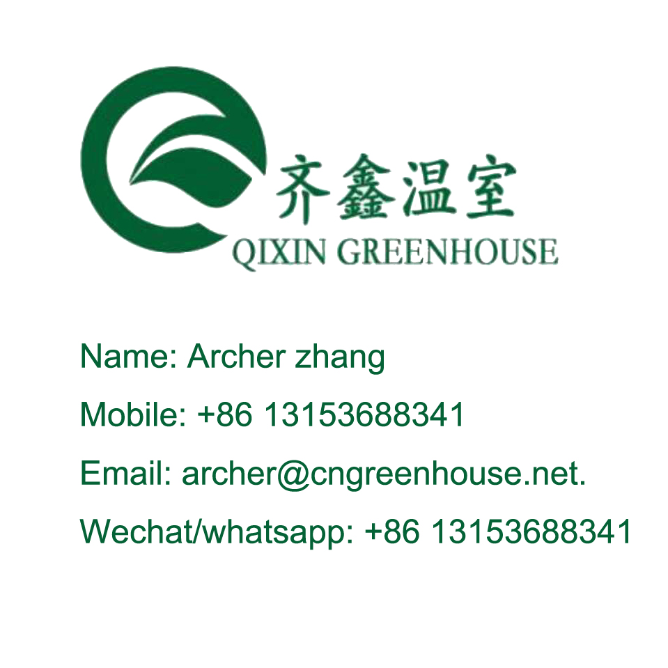 PO Single Layer Greenhouse for Agriculture Boost Agricultural Production