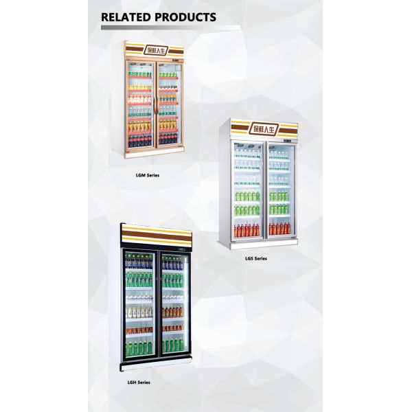 Commercial  Big Capacity  Upright Refrigerator Stainless Steel Refrigeration Equipment