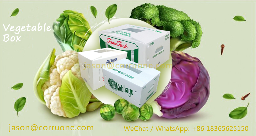 Correx Corn Vegetable Corrugated Boxes Corrugated Plastic Shipping Boxes