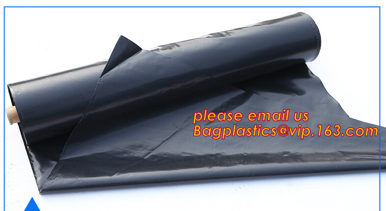 HOTICULTURAL MULCH FILM,AGRICULTURAL PE FILM,MARKET GARDENERS CLOCHE FILM,PE FILM FOR CORN,PLASTIC FILM COVER,TOMATO COV
