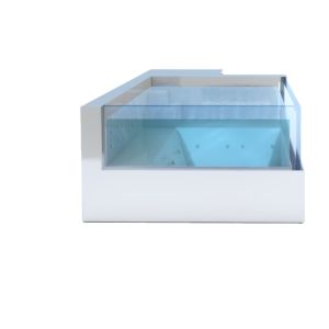Upgrade Your Aquatic Experience with a Rectangular Stainless Steel Shipping
