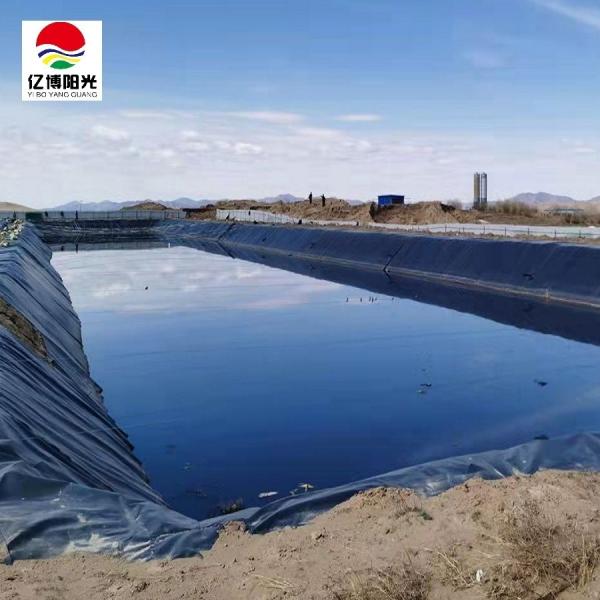 Quality Customizable HDPE Geomembrane Liners Thickness 0.2mm-3.00mm for Pond Waterproofing for sale