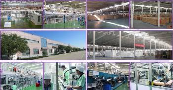Tianjin Wholesome International Trade Co., Ltd.