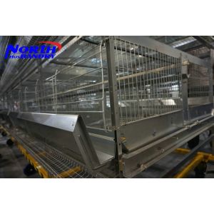China Poultry equipment Broiler cage wholesale