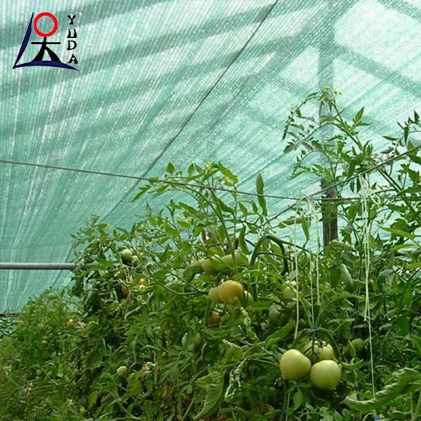 Quality Anti UV Greenhouse agricultural shade cloth 40 Rate Dark Green for sale