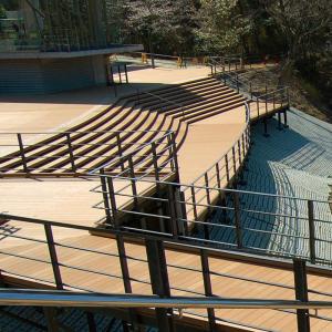 WPC Wood Plastic Composite Floor Deck Board 2900mm Length Customized