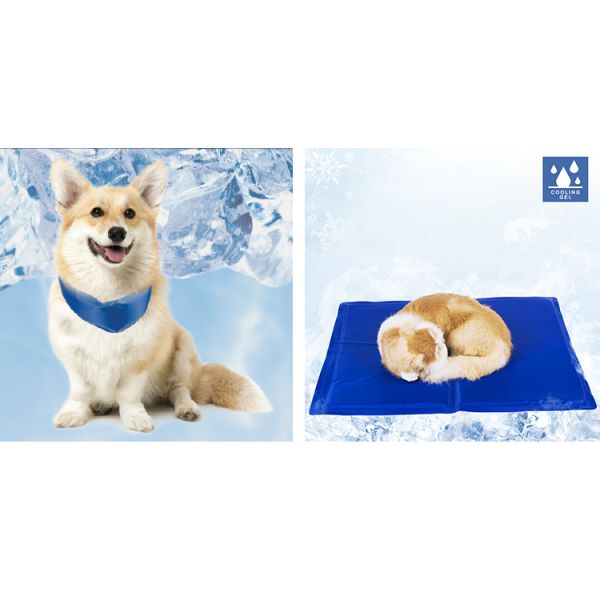 Vests Type Oem 41cm Cotton Dog Sweaters