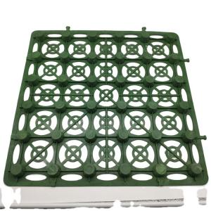 China 48mm Height Impounding Drainage Cell Mat Board for Municipal Construction Water Storage wholesale