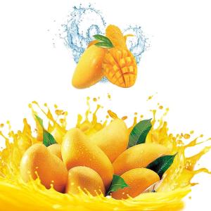 China SUS304 Automatic Mango Washing Machine For Fruit Cleaning on sale