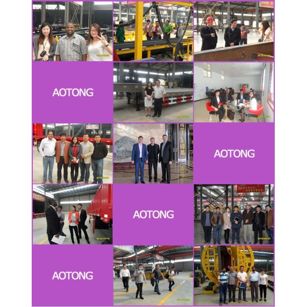 Twist Locks Tri Axles Livestock Fence Cargo Semi Trailer Truck /Animal Fence Trailer